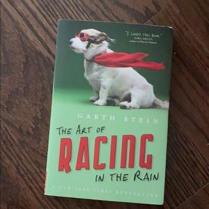 The Art of Racing in the Rain
